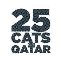 25Cats Sticker by Gray Hat Films