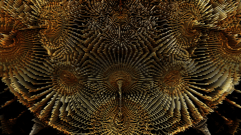 GIF by Leo Pyrata