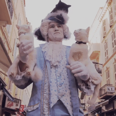 paultrillo giphyupload cats guy street GIF