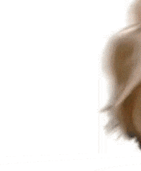 muppets GIF
