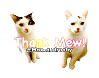 Cats Thank You Sticker