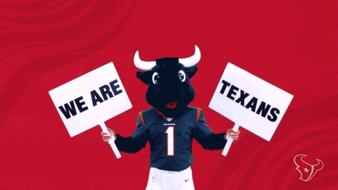Get Up Nfl GIF by Houston Texans