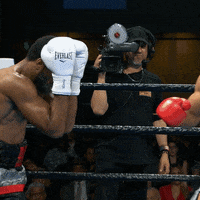 Knockout Punch GIF by Premier Boxing Champions