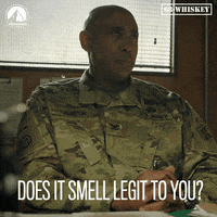 Smell GIF by Paramount Network