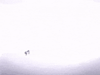 Mango Kendrick GIF