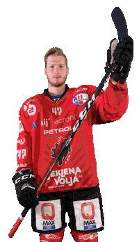 Hockey Hokej Sticker by HDD SIJ Acroni Jesenice
