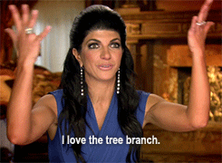 real housewives television GIF by RealityTVGIFs