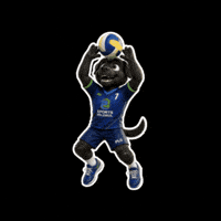 Volei GIF by Colégio Américo Melo