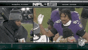 National Football League GIF by NFL