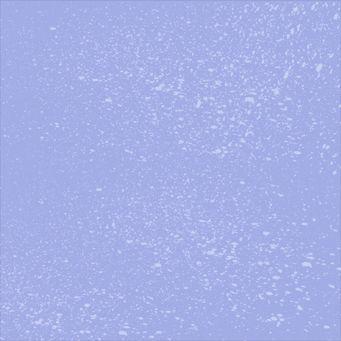 Snow Day Winter GIF by Jessica Lau