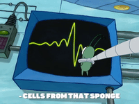 season 8 mermaid man begins GIF by SpongeBob SquarePants