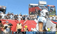 Tennessee Titans Football GIF by NFL