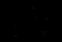 Happy I Love You GIF by The official GIPHY Page for Davis Schulz