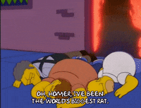 homer simpson GIF