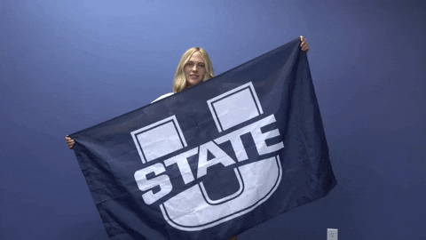 Ususoccer GIF by USUAthletics