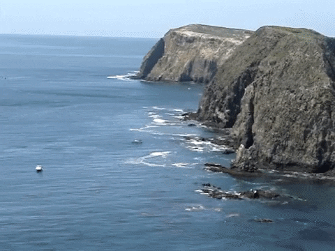 Education Biology GIF by DIIMSA Stock