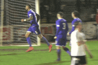 officialdafc football celebration fans supporters GIF