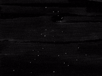 illustration gun GIF