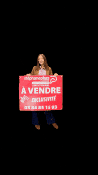 Plazalonslesaunier GIF by Stéphane Plaza Immobilier