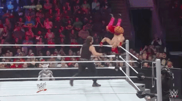 GIF by WWE