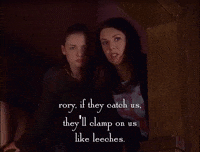 season 2 netflix GIF by Gilmore Girls 