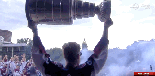 Stanley Cup Sport GIF by NHL