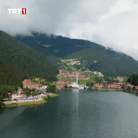 Travel Vacation GIF by TRT