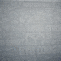 Celebration Byu Baseball GIF by BYU Cougars