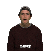 For Real Lol Sticker by SWR3