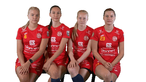 Sport Floorball Sticker by F-liiga