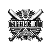 Dance Logo Sticker by Street School