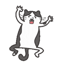 貓 Sticker