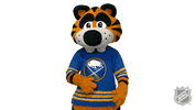 Excited Ice Hockey GIF by NHL