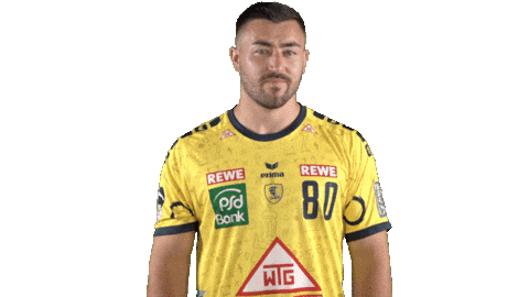 Handball-Bundesliga Sport Sticker by LIQUI MOLY HBL