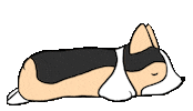 sleepy dog Sticker by Tiffbits
