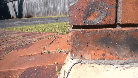 looks like rain GIF