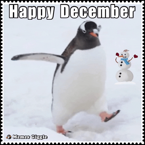 memesgiggle giphyattribution penguin happy december GIF
