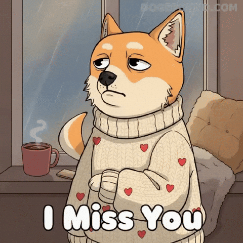 Sad Miss You GIF by Doge Pound
