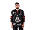 Ice Hockey Goal Sticker by Boxers de Bordeaux