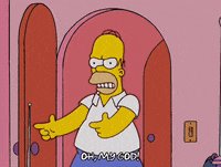 homer simpson episode 20 GIF