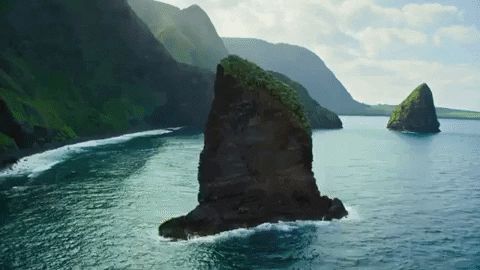 Surfing Hawaii GIF by 50statesproject