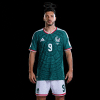 Fifa World Cup Mexico GIF by Respective