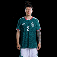 Fifa World Cup Mexico GIF by Respective