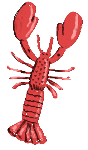 Drawing Lobster Sticker by iriskristen