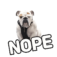 English Bulldog Frank The Tank Sticker