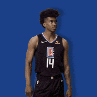 Los Angeles Terance Mann GIF by LA Clippers