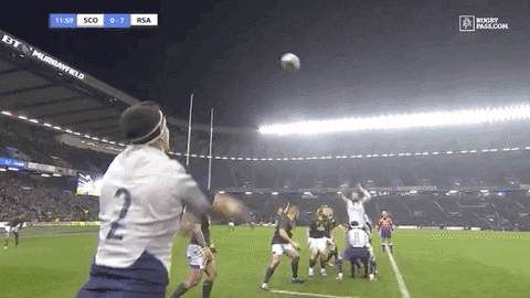 SirPinguton giphyupload GIF