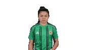 Womens Team Hello Sticker by Northern Ireland