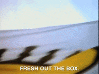 all that nicksplat GIF