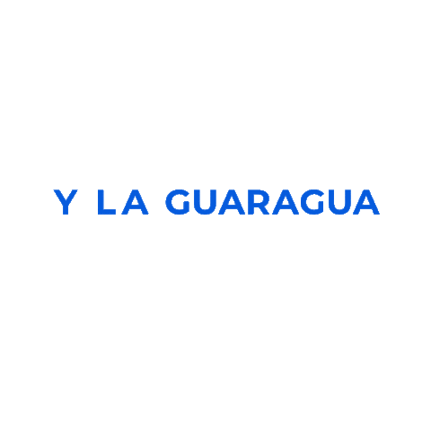 Fiestas De Quito Play Sticker